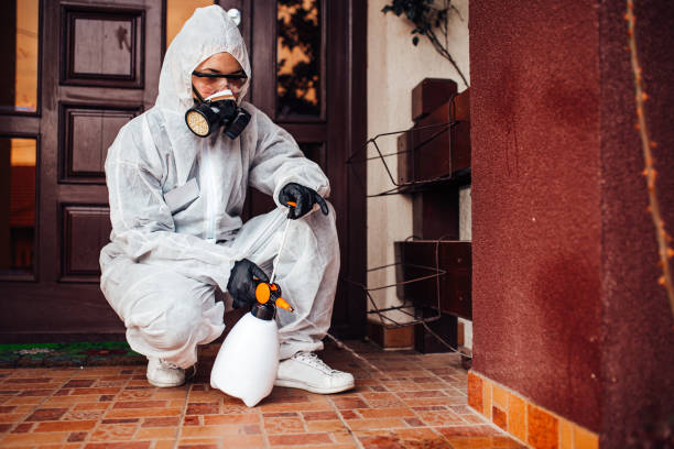 Attic and Crawl Space Rodent Treatment in Sultan