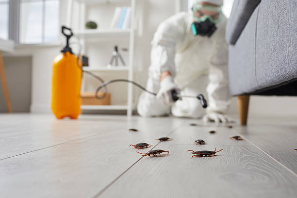Commercial Rodent Management in Sultan